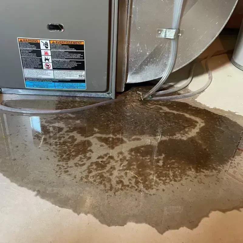 Appliance Leak Cleanup in Aurora, IL